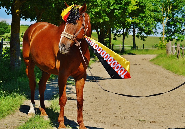 确保了上海 确保了上海