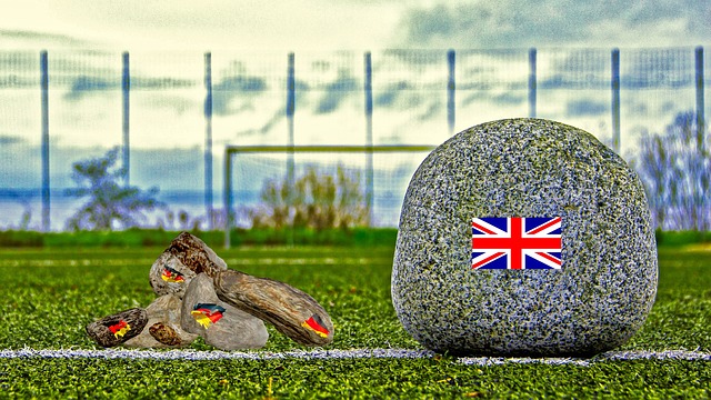 带来的不仅 带来的不仅