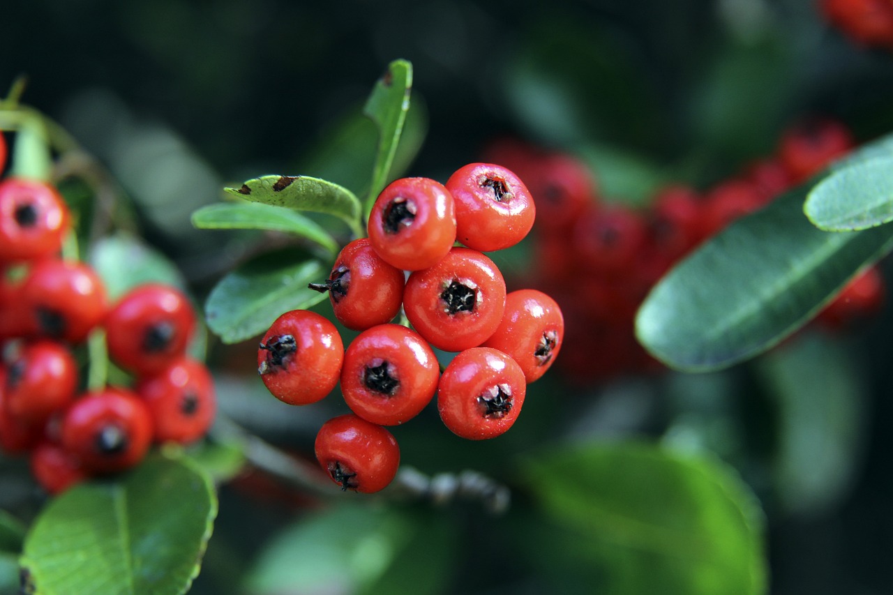 火箭121-110战胜爵士，4人表现出色，3人称职，2人状态低迷.